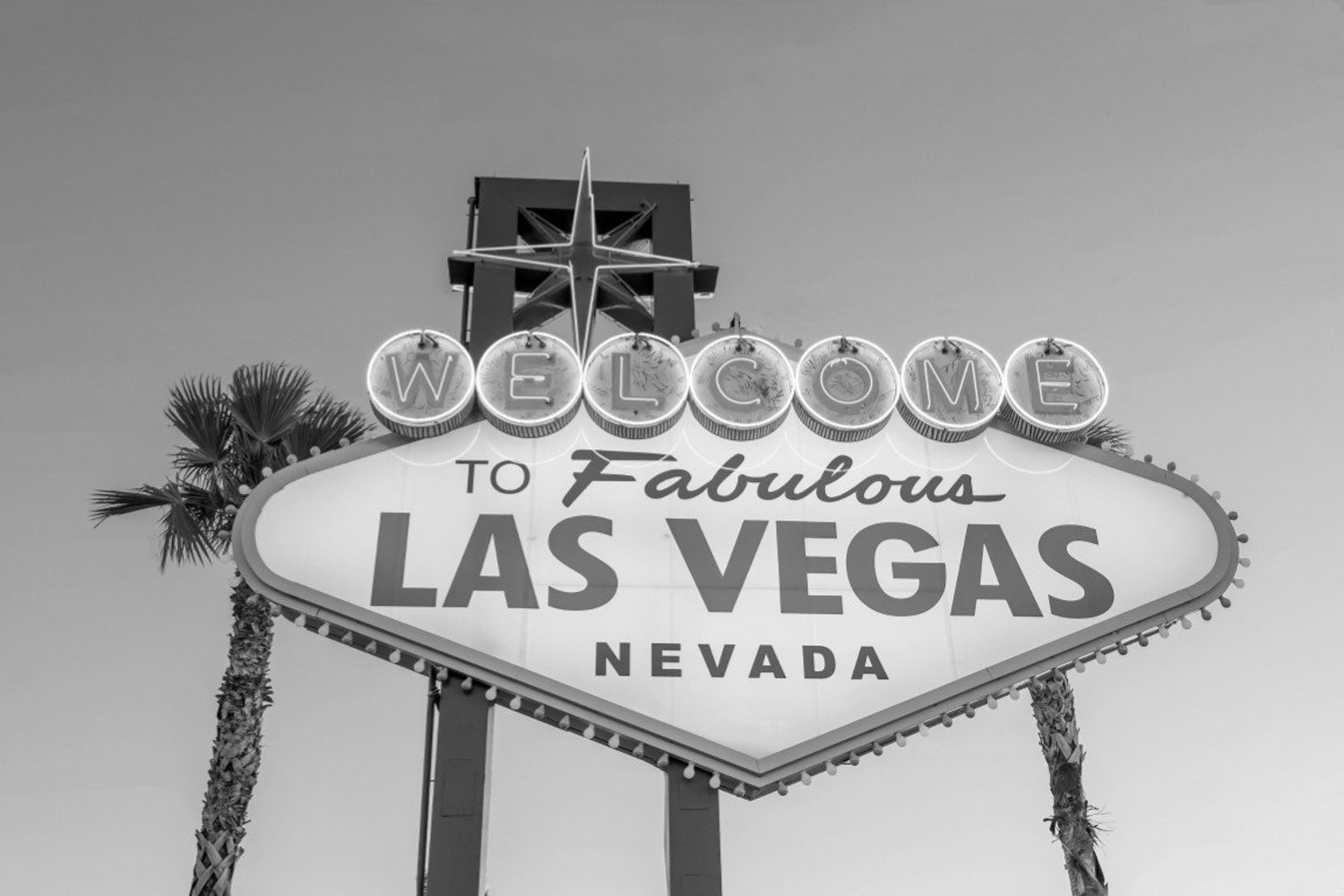 Vgdesign Las Vegas bord 130x70 cm tuinposter banner VGDesign onbekend
