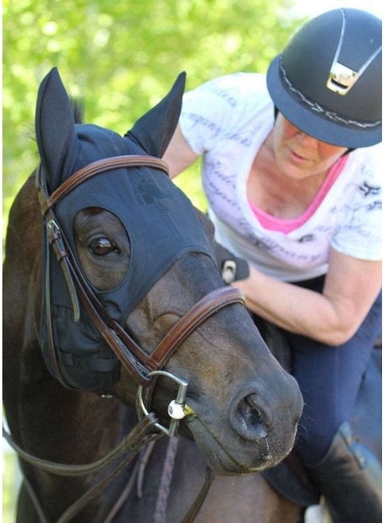 Zwarte Fenwick Liquid Titanium oornetje, gedragen door een bruin paard, met amazone.