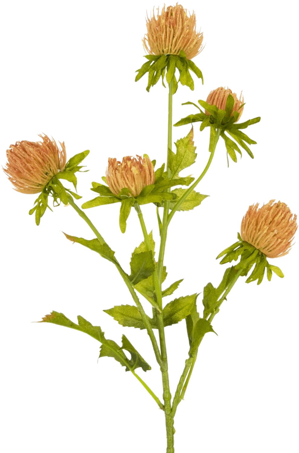 Easyplants | Kunstbloem Distel 66 cm perzik | Zijde | Nepbloemen | perzik | Onderhoudsvrij | Kant-en-klaar