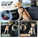 Gouden retriever in auto vastgezet met zwarte hondengordel via gordelgesp, Isofix of haak.