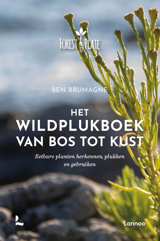 Boekomslag: Het Wildplukboek van Ben Brumagne met een groene plant op de voorgrond en een wazige kustlijn.
