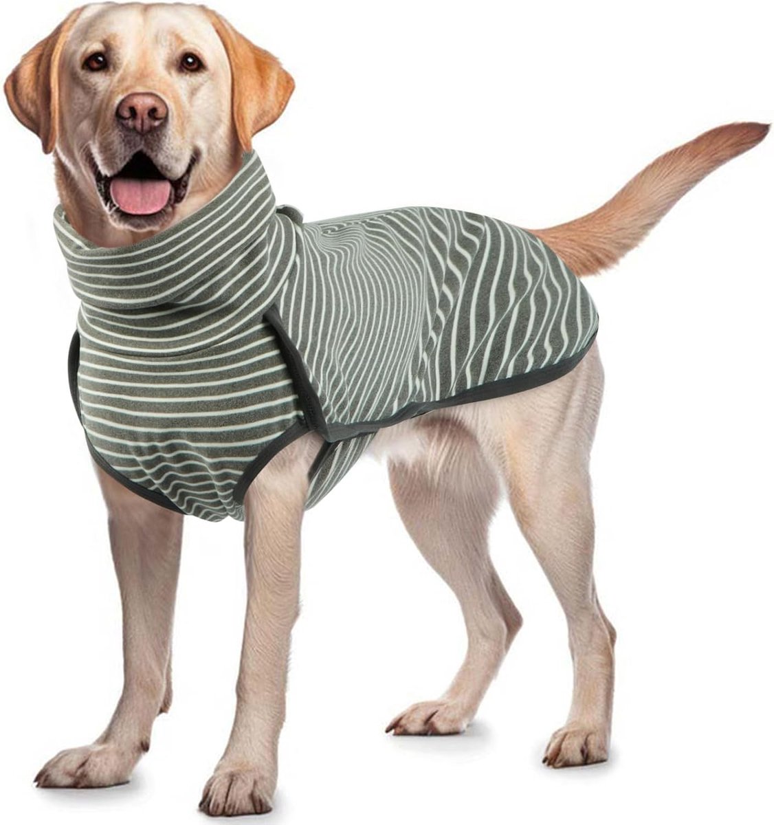 hondentrui - Warme en lichte stretch fleece trui - Hondenpyjama - Herfst- en winterjas voor koud weer - Jas voor kleine, middelgrote puppy's