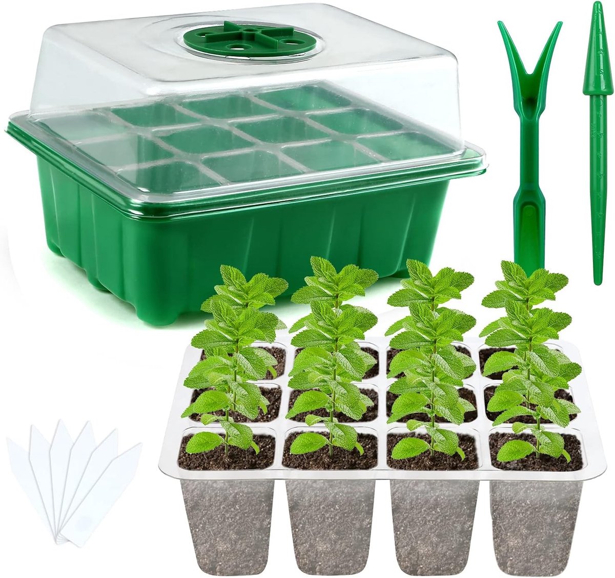Mini kweekdoos voor planten - 5-delige set voor binnen- en buitenteelt, ideaal voor zaadjes en zaailingen