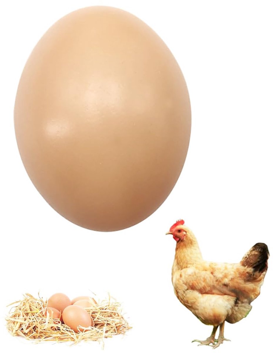 20 speelgoedeieren, nagemaakte eieren, hulpmiddelen om de kip te helpen een bestelling te plaatsen, plastic eieren