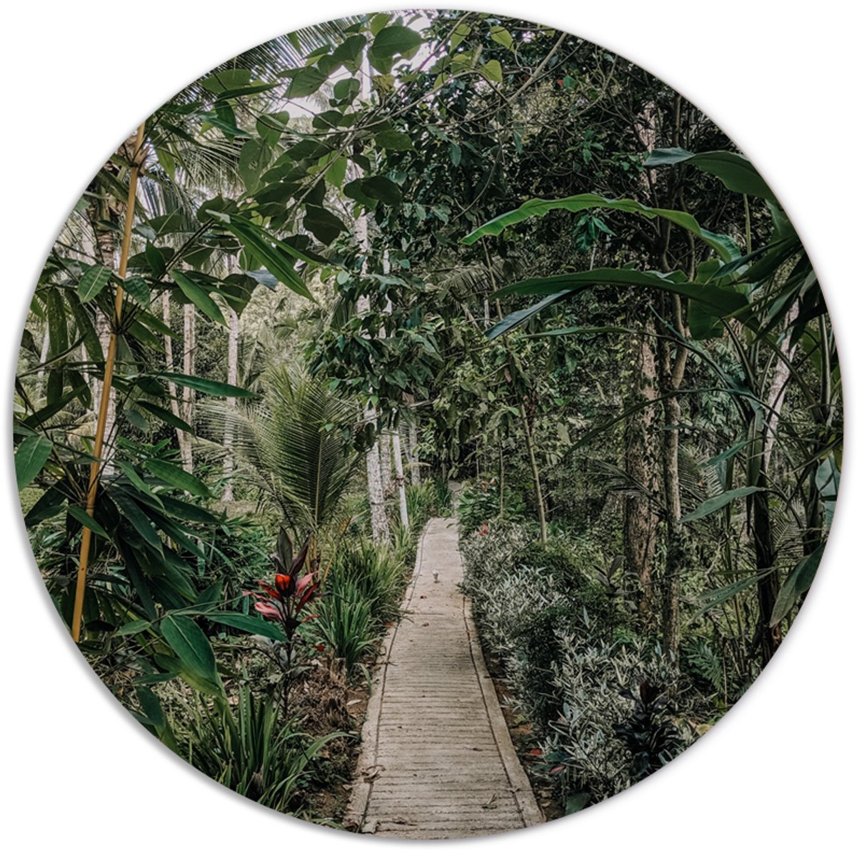 Label2X - Muurcirkel green paradise - Ø 70 cm - Dibond - Multicolor - Wandcirkel - Rond Schilderij - Muurdecoratie Cirkel - Wandecoratie rond - Decoratie voor woonkamer of slaapkamer