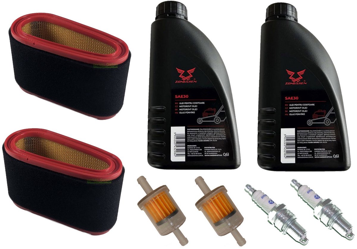 Bougie + filter + SAE30-olie voor Castel Garden TC13,5 TC14,5 TP15 102 92 1850202