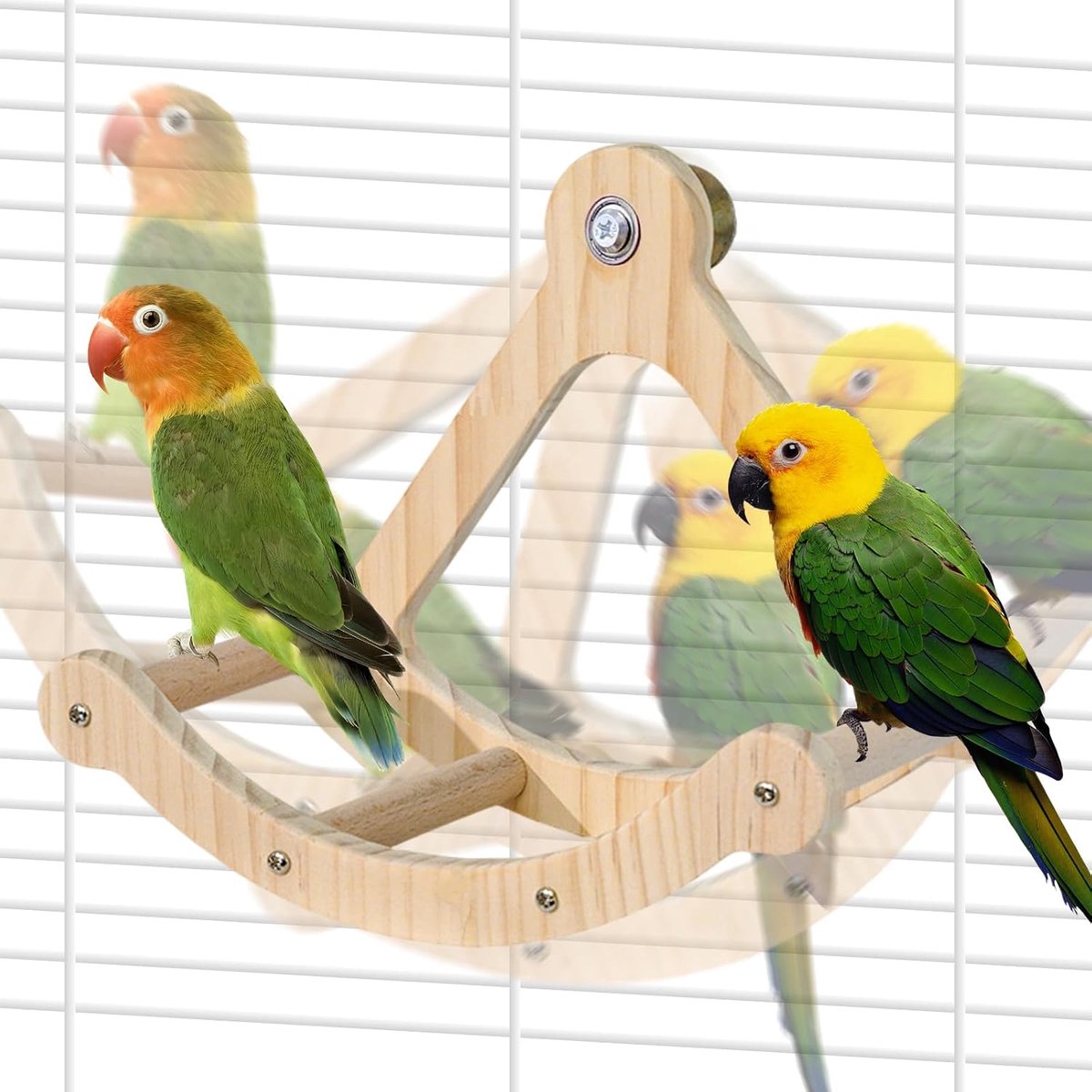 Speelgoed, interactief schommelparkiet speelgoed en baars, houten oefenwiel valkparkiet speelgoed, intelligentie puzzel verrijking speelgoed, vogel speeltuin