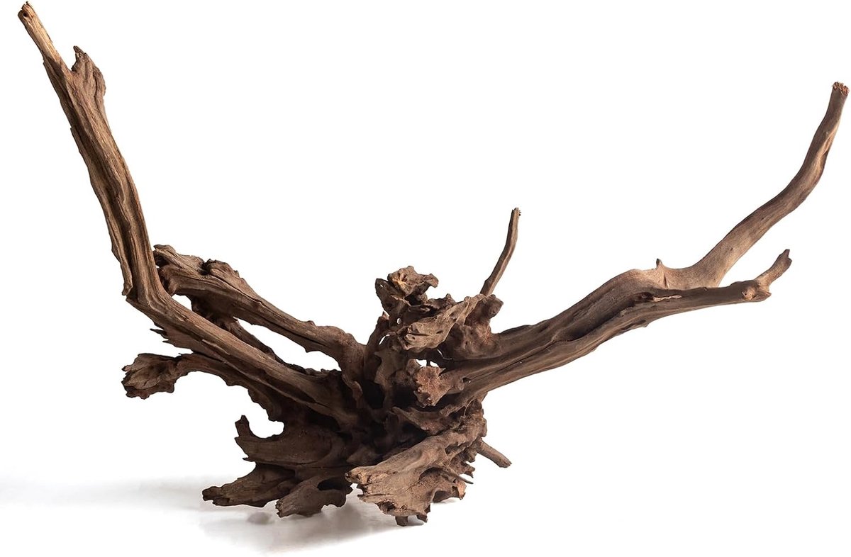 Hout voor aquarium, rechtopstaande wortelstijl, hout voor aquariumdecoratie, uniek drijfhout voor aquascape, terrarium en reptielen, 1 stuk (30-40 cm)