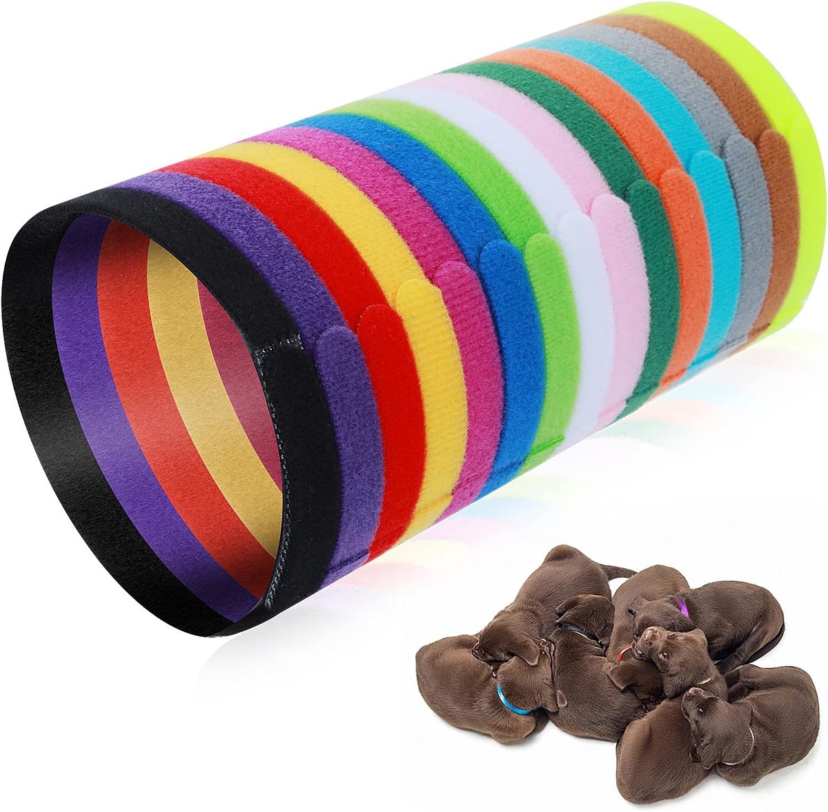 SnelShoppen - 15 Stuks Puppy Halsbanden voor Kleine Honden, Verstelbaar, Diverse Kleuren, ID Halsbanden voor Honden en Katten, 30 cm, Perfect voor Fee