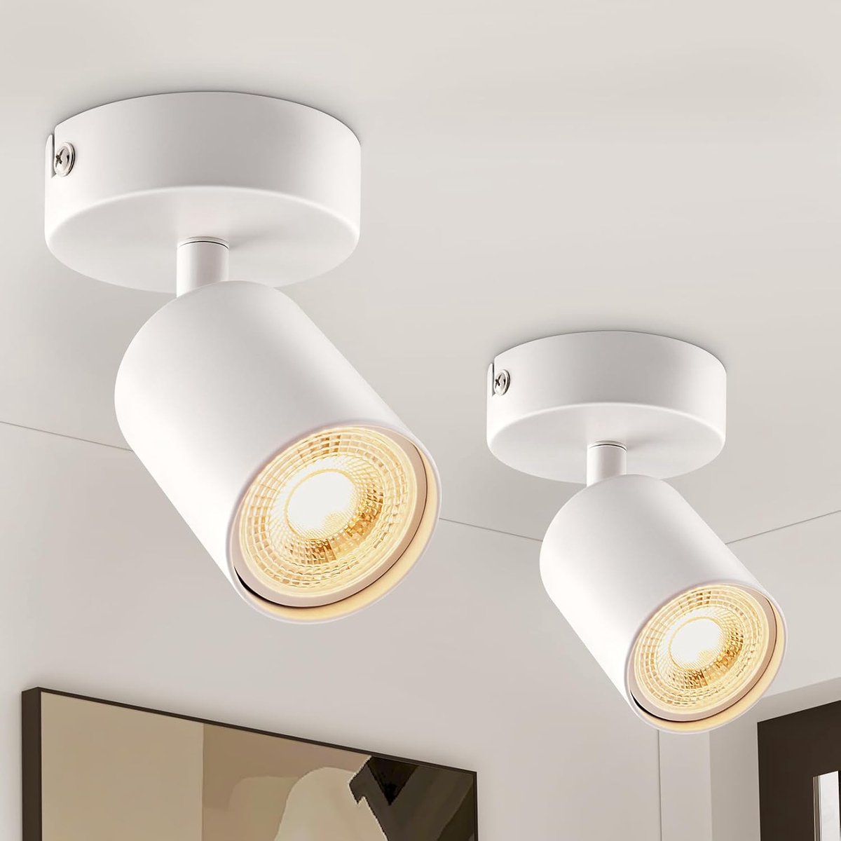 Enkele Vlam Plafondspot, Wit Draaibaar en Draaibaar, Set van 2 Moderne LED Plafondlamp voor Woonkamer, Slaapkamer, Keuken, Zonder Lamp