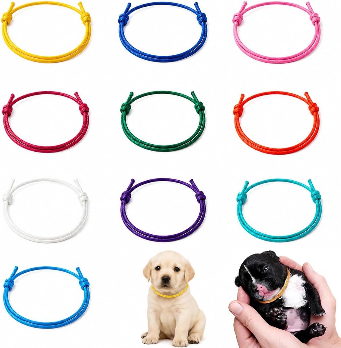 Set van 20 halsbanden voor puppy's en kittens, verstelbaar, 16-30 cm, meerkleurig, nylon, voor het identificeren van huisdieren, voor huisdieren of klinieken