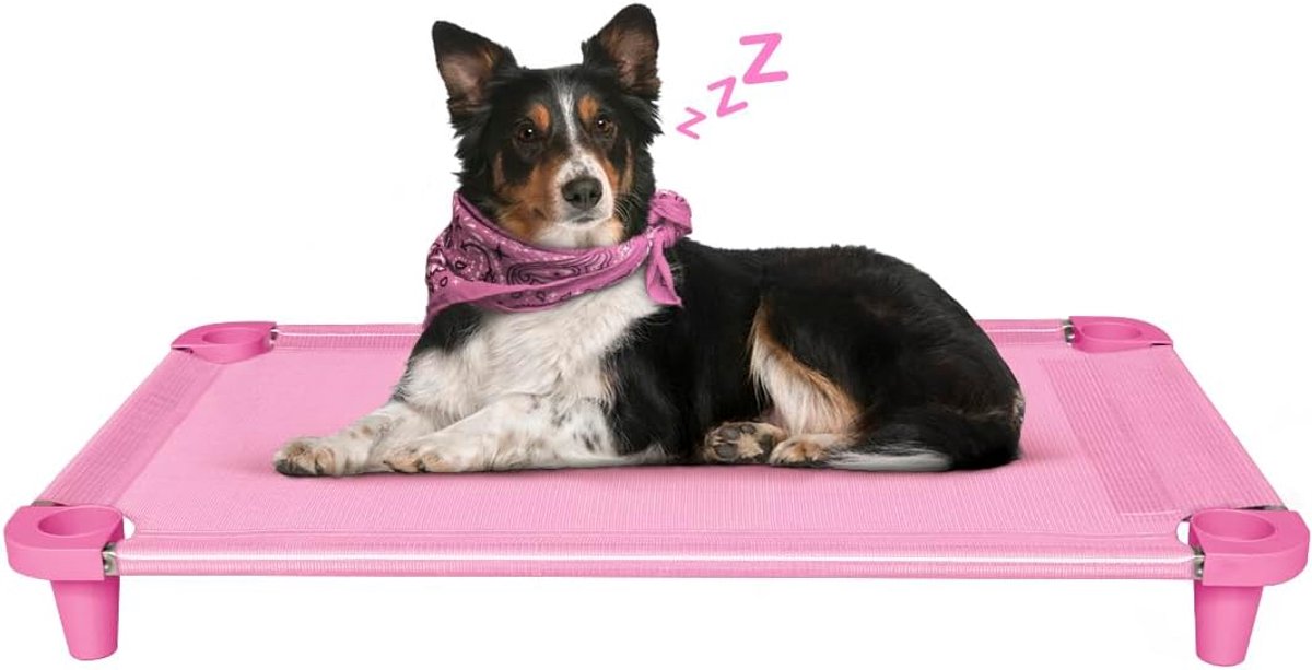 Koelend verhoogd huisdierbed voor honden, wasbaar en ademend gaasweefsel, roestvrij stalen frame, voor binnen en buiten gebruik, geschikt voor honden tot 49 kg Maat: 102 cm x 61 cm x 11 cm