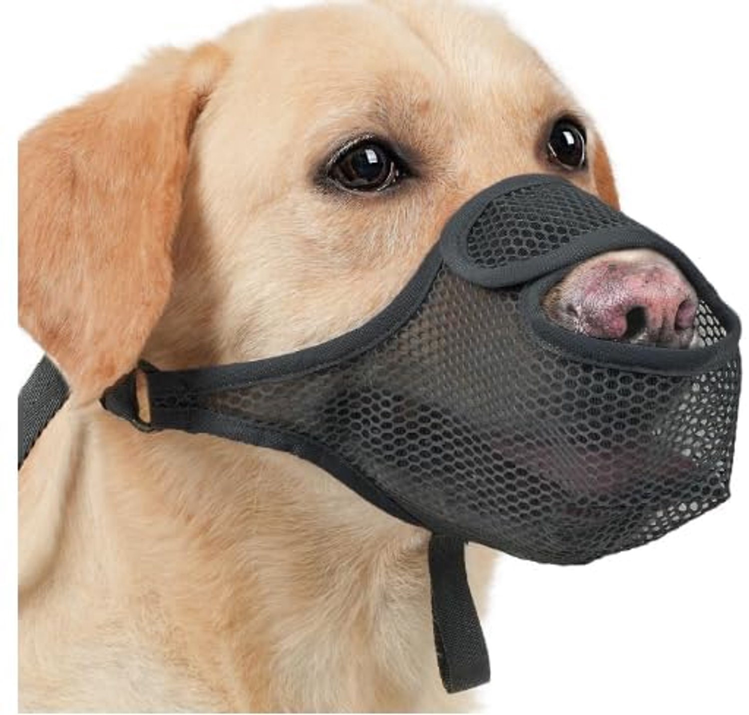 Verstelbare Muilkorf voor Honden van Nylon