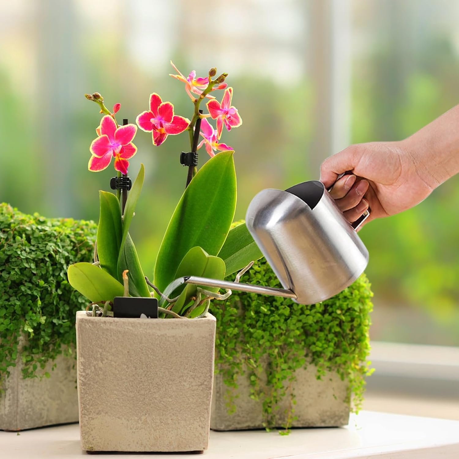 Gieter voor binnen, roestvrij staal, gieter, 300 ml/500 ml/1000 ml, kleine gieter met lange uitloop, tuingieter, bloemengieter voor planten, kantoor, tuin (zilver-300 ml)