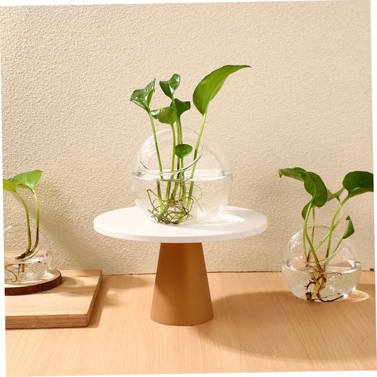6 Stuks Sappige Vazen Terrarium Middelpunt Middelpunten Terrarium Vazen Sappig Bolterrarium Weergave Duidelijke Ornamenten Hydrocultuur Planter Terrarium Tank Terranium Glas — afbeelding 4