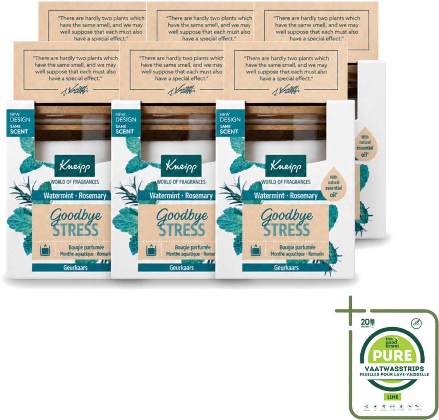6 x Kneipp - Geurkaars - Goodbye Stress - Watermunt & Rozemarijn - 20 branduren - Grootverpakking - Vaatwasstrips - Geurkaars - Ontspanning - Stress - Rust - Wellness