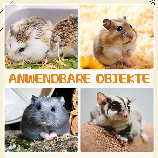 Hamsterwiel, 24 cm stille loopfiets met dubbele lagers, in hoogte verstelbaar, transparant loopwiel voor dwerghamsters, muizen, chinchilla's, lemmingen — afbeelding 4