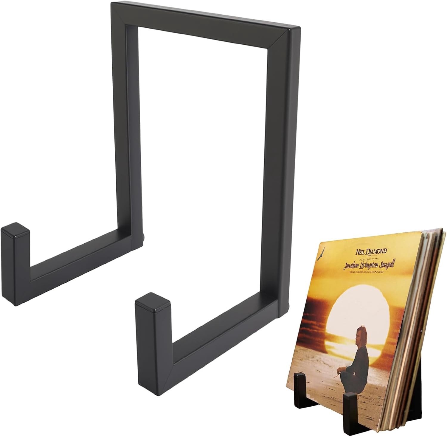 Vinylplatenhouder - Zwart - Vloermontage - Metalen Stand voor Vinylplaten - Voor Muziekliefhebbers