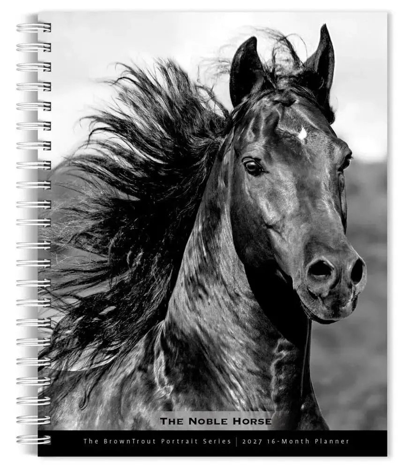 The Noble Horse Agenda 2027