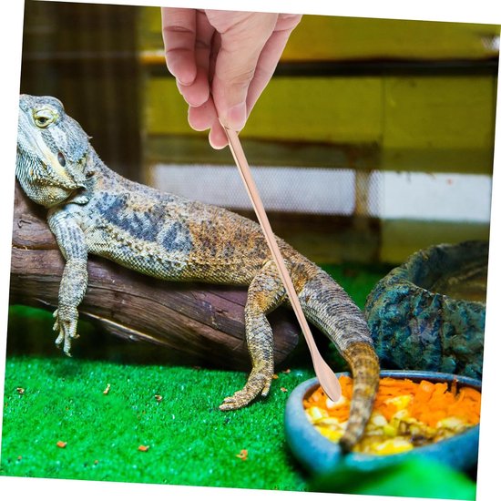 2 Rvs Reptiel Voedingslepel Voederhulpmiddel voor Hagedissen Andere Kleine Dieren Gouden Duurzaam Eenvoudig Te Reinigen — afbeelding 5