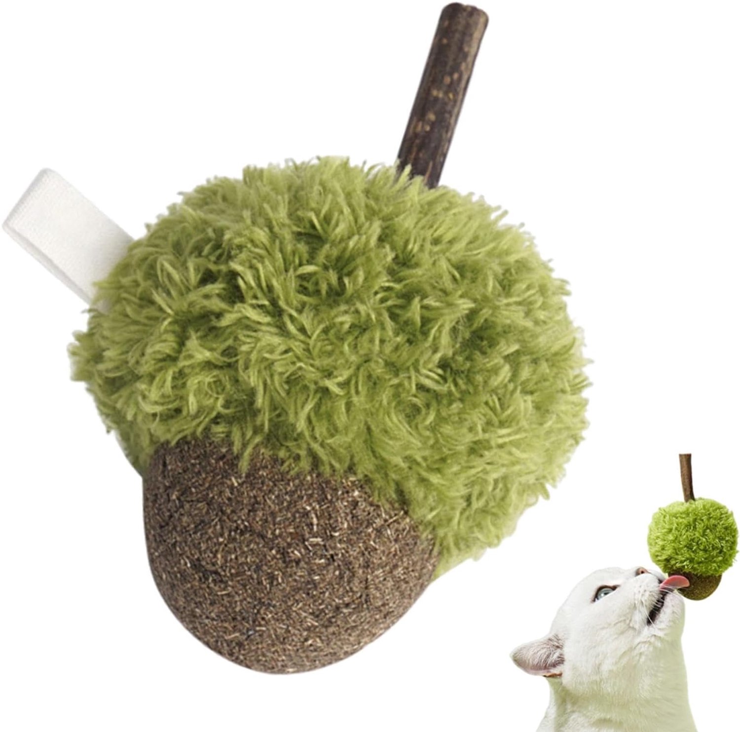 Kattenspeeltje met kattenkruid, Kattenspeeltje met kattenkruid Kauwende