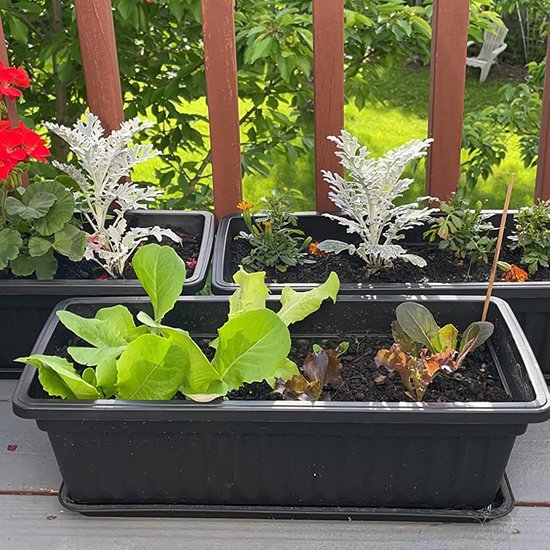 6 stuks 47 cm platteland bloembak plantenbakken, plastic groenteplantenbakken met 30 stuks plantenlabels, zwarte bloembakken met bevestigd dienblad voor vensterbank, terras, tuin, balkon.. — afbeelding 3