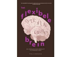 Het flexibele brein