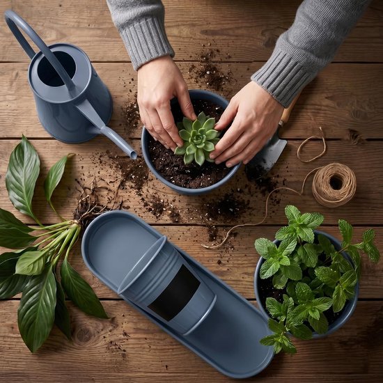Mini-gieter en potset, roestvrij verzinkt ijzer, compact, voor binnen, voor cactussen, kruiden en kleine planten. — afbeelding 3