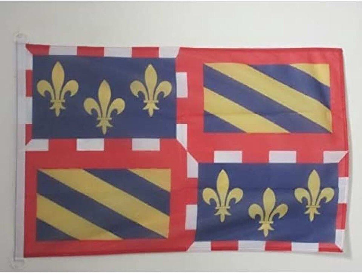 Bourgondië nautische vlag 45x30cm - Bourgondië bootvlag - Frankrijk 30 x 45 cm - AZ VLAG