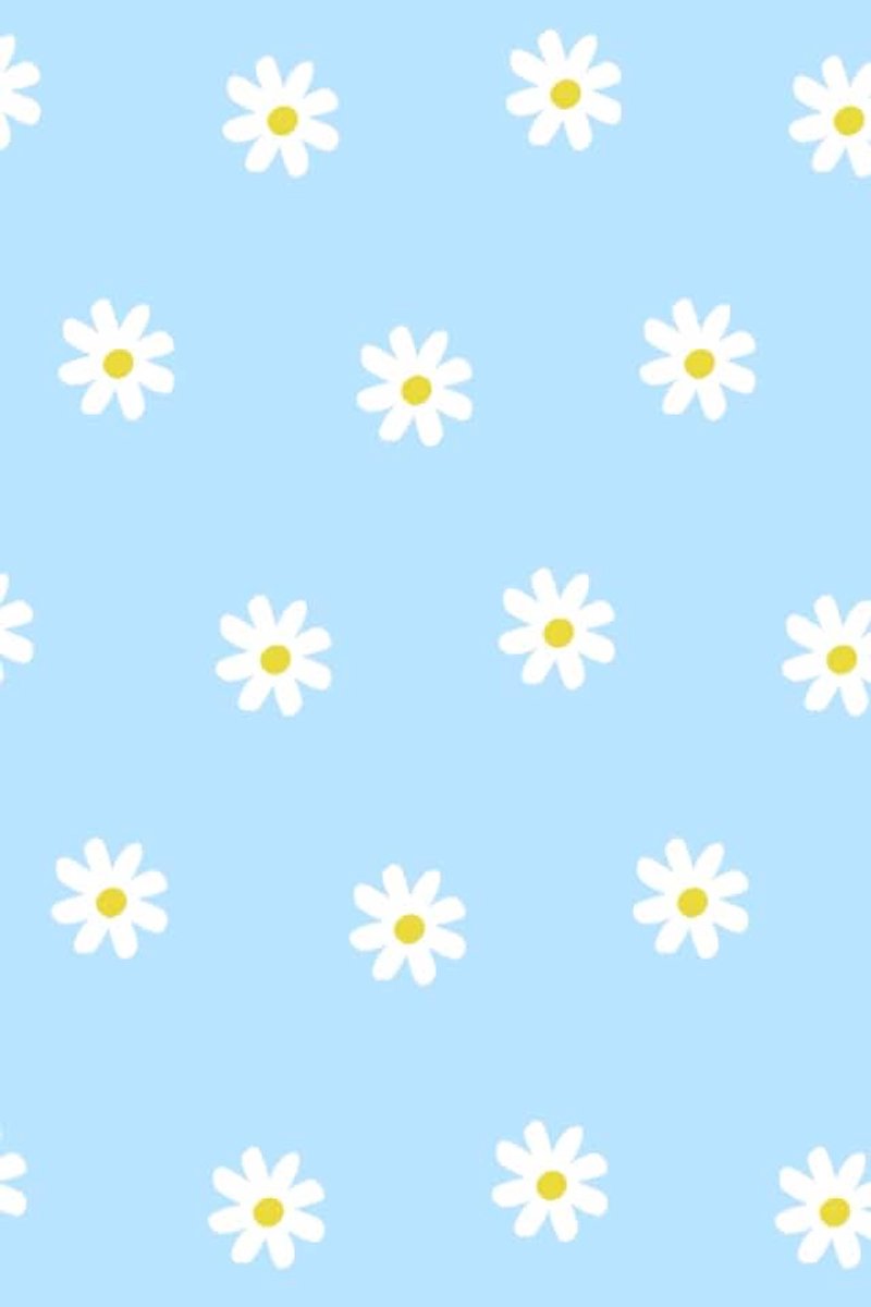 Cute Daisy Flower