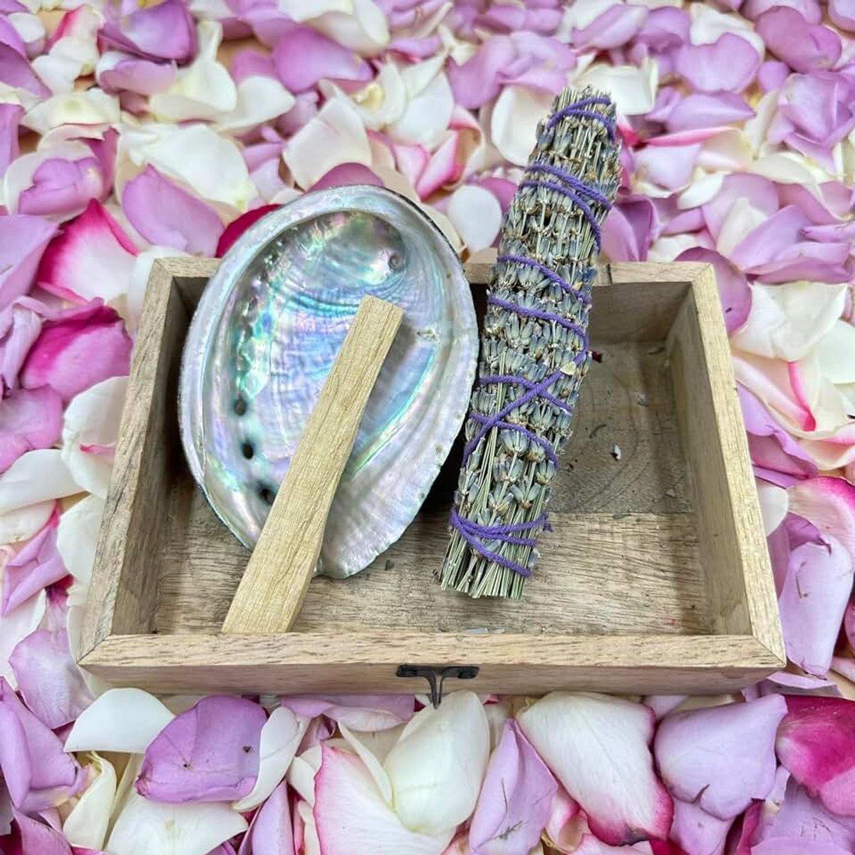 Abalone schelp 11-13 cm + smudgesticks lavendel + 1 palo santo.