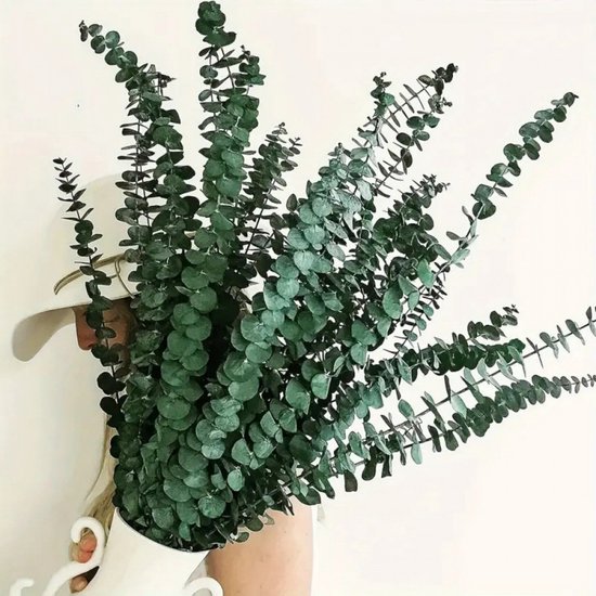 Vrouw met witte hoed tilt een witte kan vol met lange, groene eucalyptus takken.