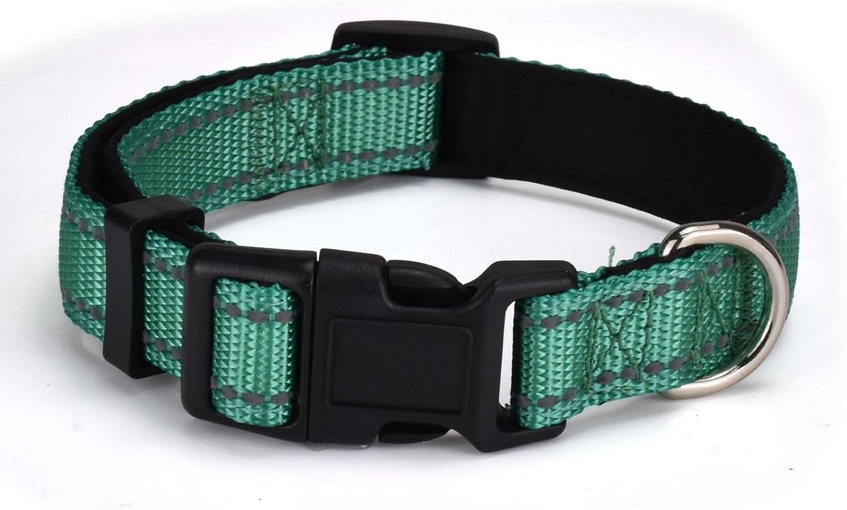 Reflecterende nylon hondenhalsband, Comfortabel gevoerd met nylon kraag, verstelbare maten en kleuren, ideaal voor kleine, middelgrote en grote honden, turkooisgroen, M