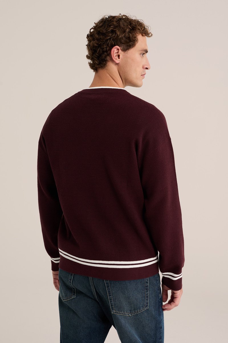 WE Fashion Heren regular fit trui met contrast en structuur
