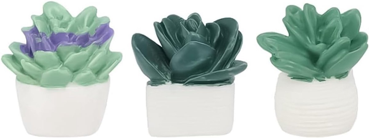 20 STKS Succulente Plant Stijl Push Pin, Hars Decoratieve Punaise voor Wandkleden, Kurk Board