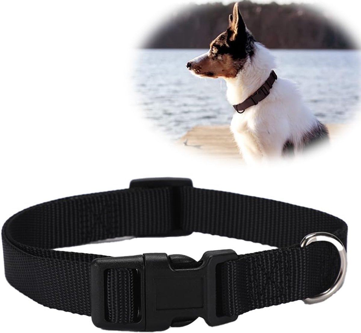 Zacht gevoerde neopreen nylon hondenhalsband voor kleine honden, verstelbaar en reflecterend, voor de training, zwart
