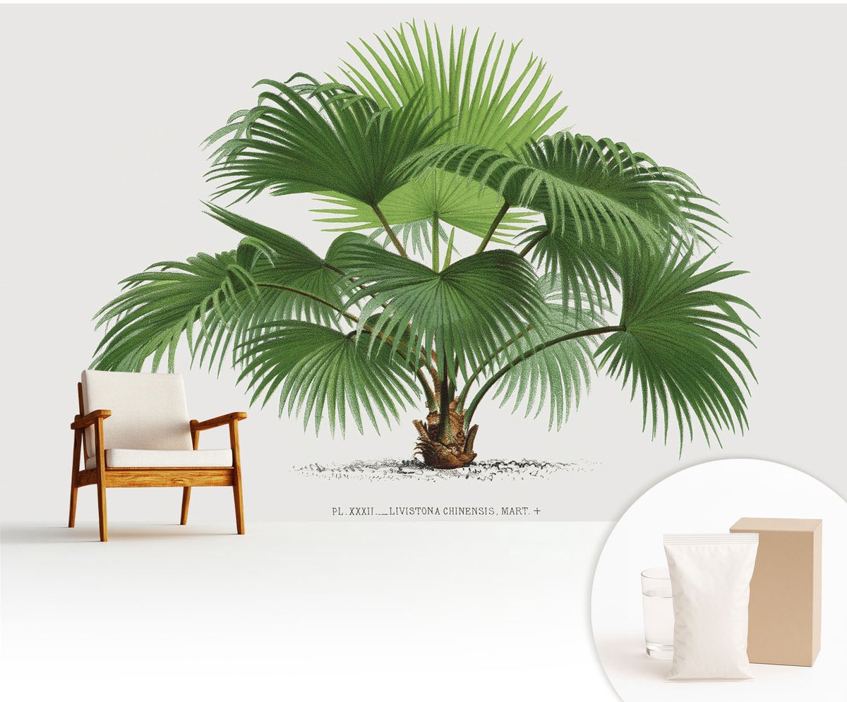 Wallfluent Fotobehang - Groente Vliesbehang - 416x254 cm - Exotische Palmboom Fotobehang Vlies - Woonkamer behang Bloemen En Planten - Muurschildering - Woonkamer behang