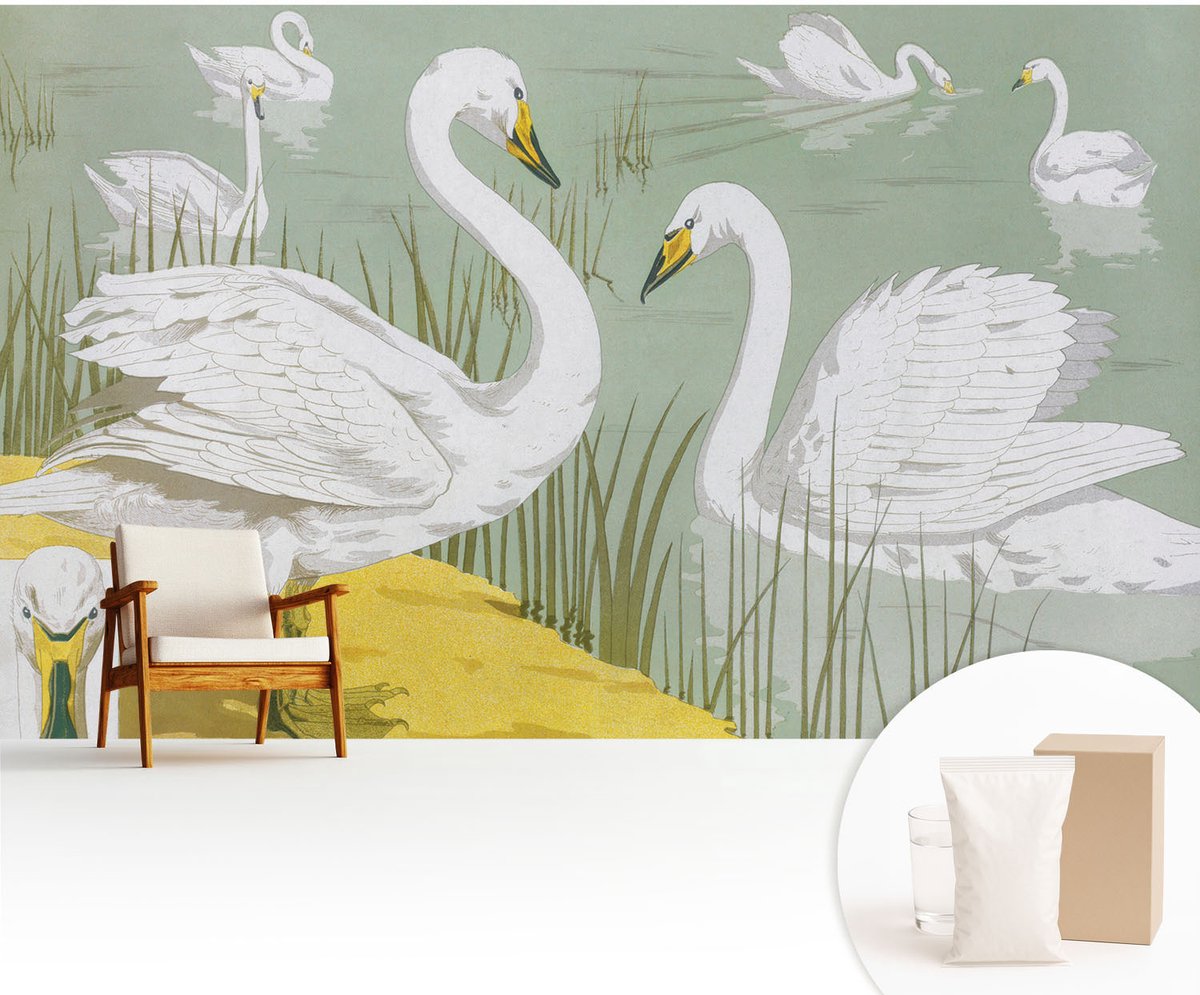 Wallfluent Fotobehang - Wit Vliesbehang - 416x254 cm - Zwanenmeer Muurschildering - Gang behang Dieren - Fotobehang Vlies - Slaapkamer behang
