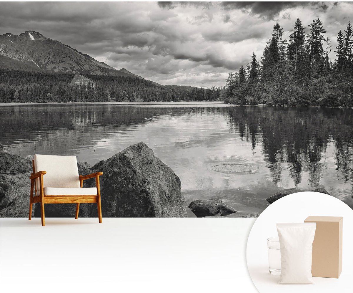 Wallfluent Fotobehang - Zwart-Wit Vliesbehang - 416x254 cm - Bergpanorama Muurschildering - Slaapkamer behang Landschappen - Fotobehang Vlies - Gang behang