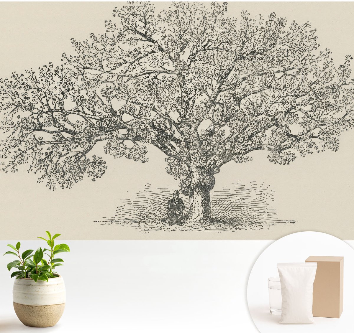 Wallfluent Fotobehang - Zwart-Wit Vliesbehang - 104x70 cm - Boomillustratie Muurschildering - Slaapkamer behang Bloemen En Planten - Fotobehang Vlies - Slaapkamer behang