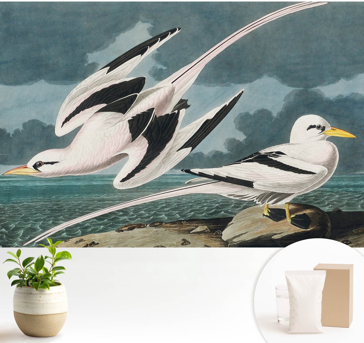 Wallfluent Fotobehang - Grijs Vliesbehang - 104x70 cm - Vogels Aan Zee Muurschildering - Gang behang Dieren - Fotobehang Vlies - Gang behang