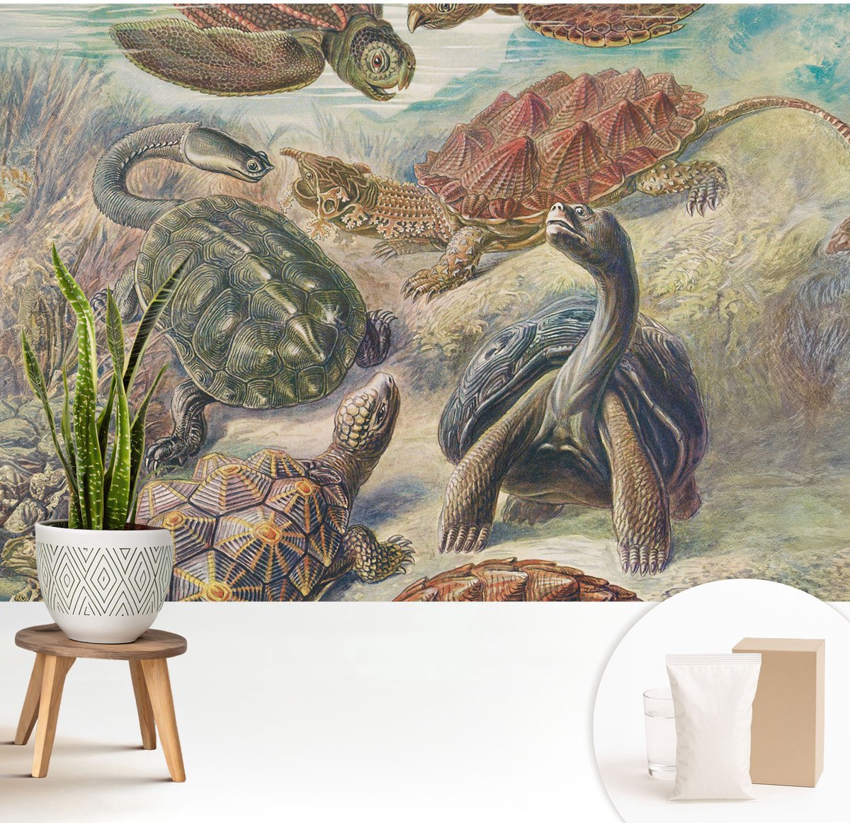 Wallfluent Fotobehang - Groente Vliesbehang - 208x146 cm - Schildpadfauna Muurschildering - Gang behang Dieren - Fotobehang Vlies - Slaapkamer behang