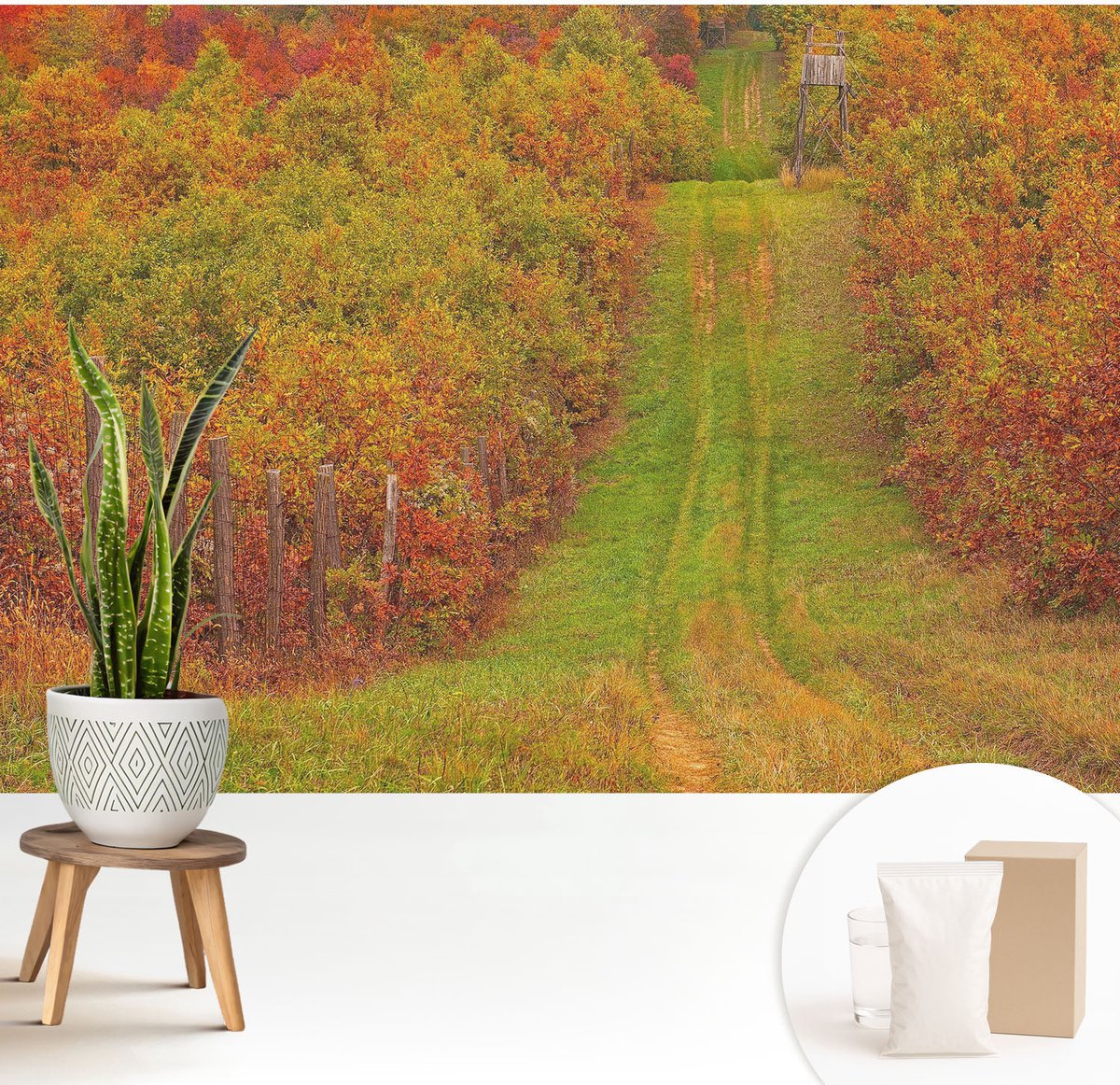 Wallfluent Fotobehang - Groente Vliesbehang - 208x146 cm - Herfstkleuren Fotobehang Vlies - Hal behang Landschappen - Muurschildering - Hal behang