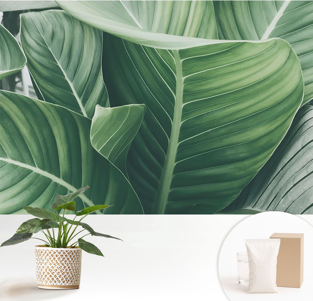 Wallfluent Fotobehang - Groente Vliesbehang - 152x104 cm - Greenpeace Muurschildering - Gang behang Bloemen En Planten - Fotobehang Vlies - Slaapkamer behang