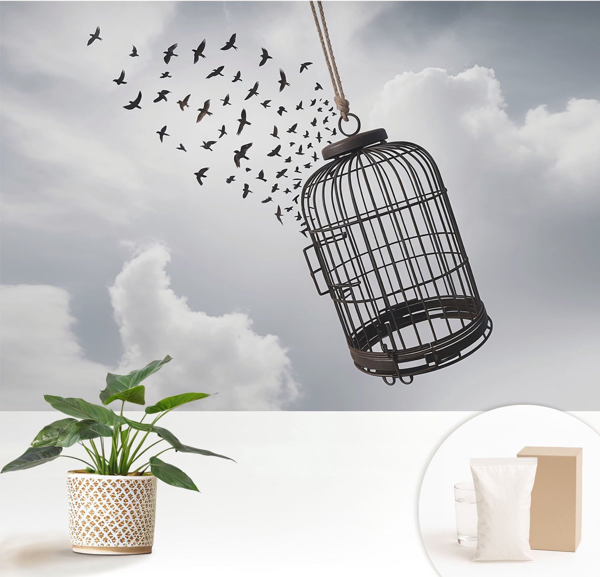 Wallfluent Fotobehang - Wit Vliesbehang - 152x104 cm - Vliegende Vogels Muurschildering - Slaapkamer behang Dieren - Fotobehang Vlies - Slaapkamer behang