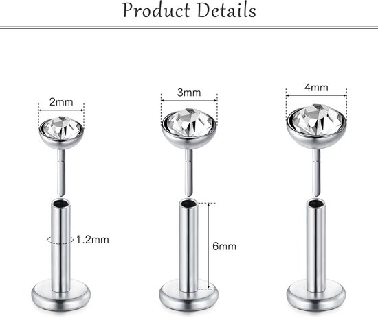 16G Rvs Labret Lip Stud 6mm Tragus Helix Kraakbeen Lip Studs Neus Stud Oorbellen Piercing Sieraden — afbeelding 2
