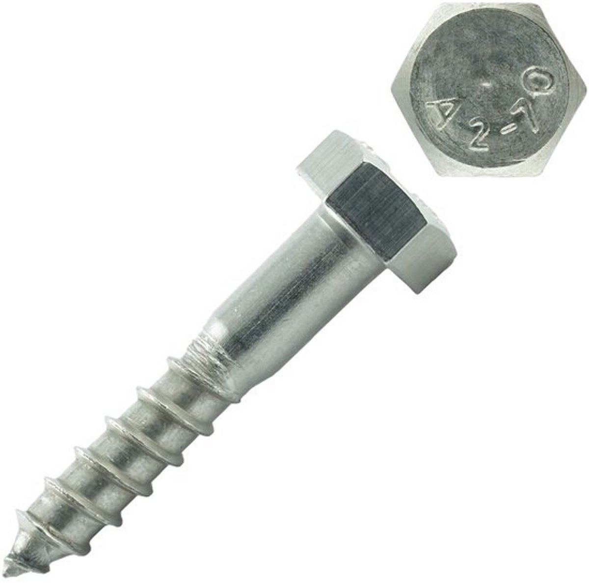 Houtschroeven Buitenzeskant Roestvrij Staal (M10 x 50 mm, 50 Stuks)