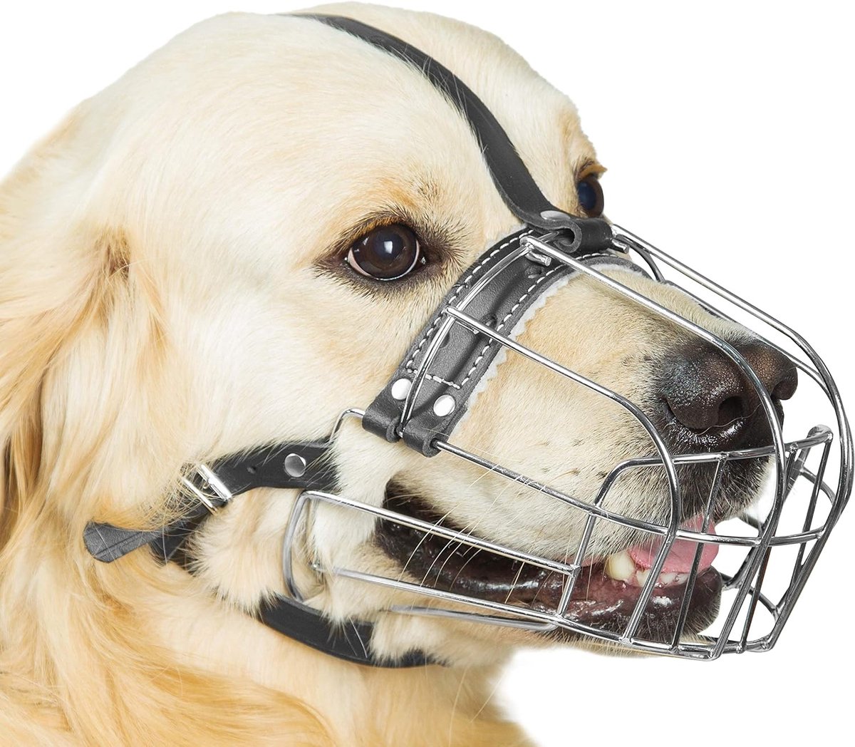 Muilkorven Draad Mand Verstelbare Lederen Bandjes (№6) Omtrek is 13-13.8", Lengte is 3.9-4.3" - Hond Muilkorf voor Labrador Retriever