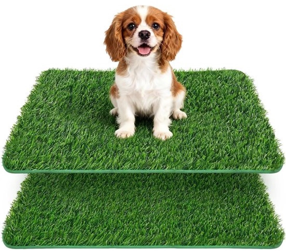Hondentoilet voor Thuis 2 Stuks 58.5 x 46 cm | Kunstgras, Puppy Training, Balkon, Huisdieren, Urine Matjes, Hygiënisch, Gemakkelijk Schoonmaken