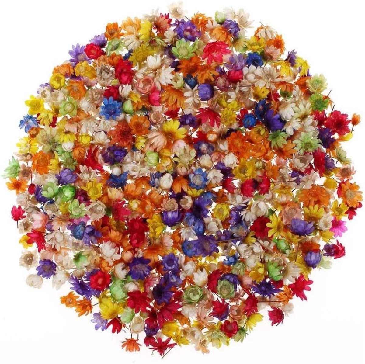 Kleine gedroogde bloemen voor ambachten - 300 stuks natuurlijke bloemen voor hars, sieraden, kaarsen en zeep maken